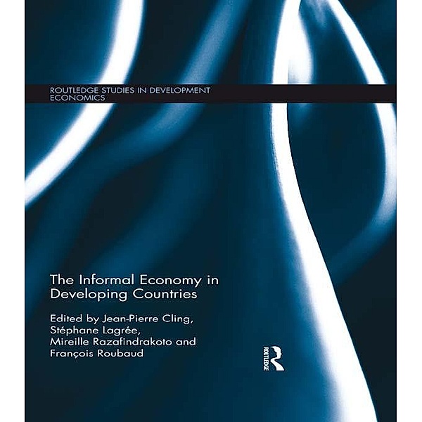 The Informal Economy in Developing Countries / Routledge Studies in Development Economics