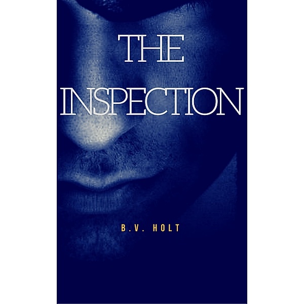 The Inspection (Found, #1) / Found, B. V. Holt