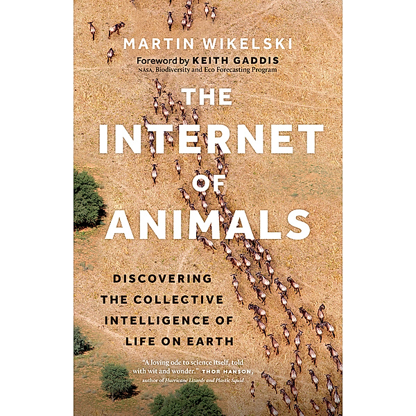 The Internet of Animals, Martin Wikelski