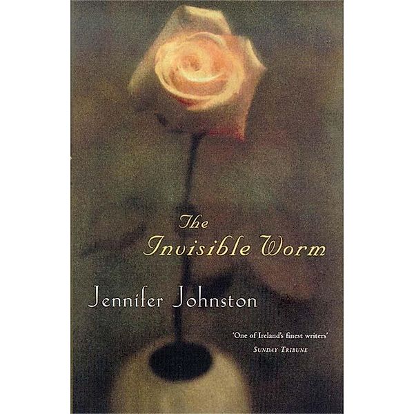 The Invisible Worm, Jennifer Johnston