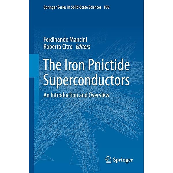 The Iron Pnictide Superconductors / Springer Series in Solid-State Sciences Bd.186