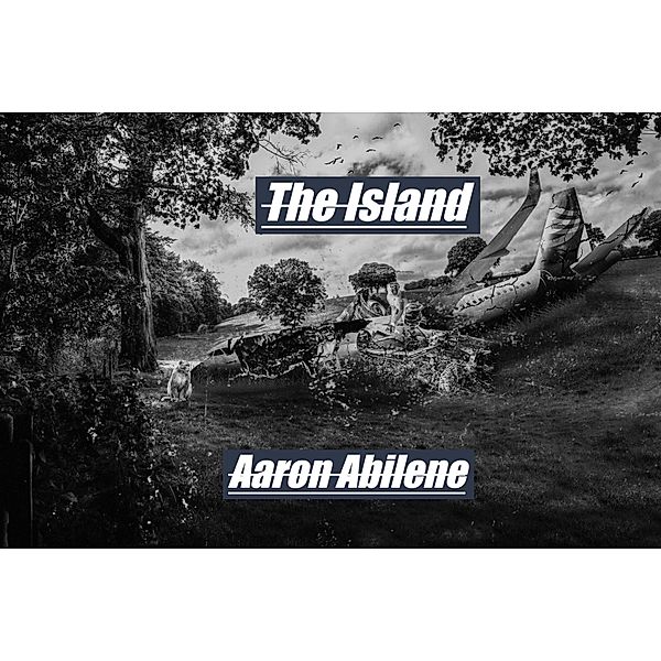 The Island, Aaron Abilene