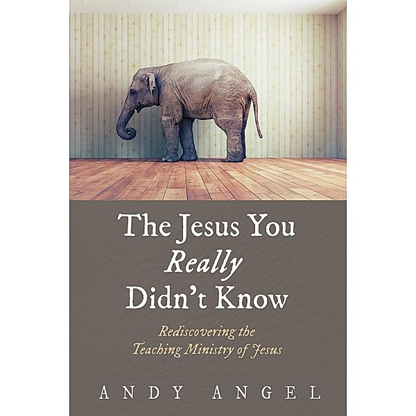 The Jesus You Really Didn't Know, Andy Angel