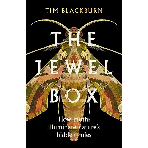 The Jewel Box, Tim Blackburn