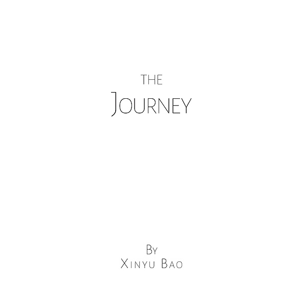 The Journey, Xinyu Bao