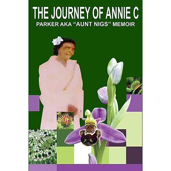The Journey of Annie C. Parker AKA Aunt Nigs Memoir, Anna Wooten