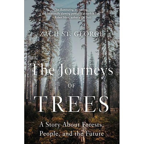 The Journeys of Trees, Zach St. George