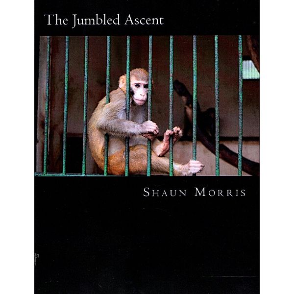 The Jumbled Ascent, Shaun K. Morris