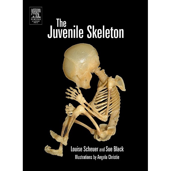 The Juvenile Skeleton, Louise Scheuer, Sue Black