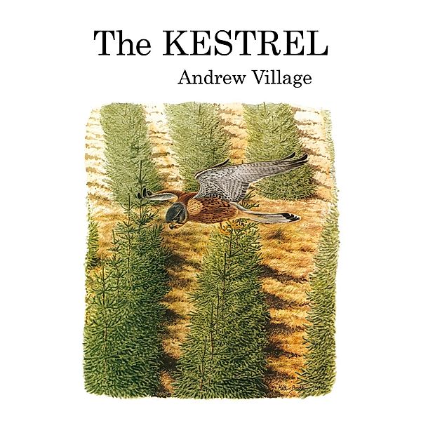 The Kestrel, Andrew Village