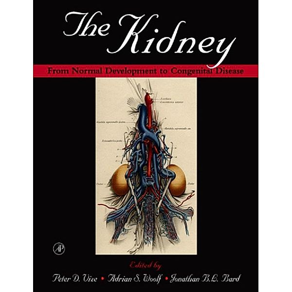 The Kidney