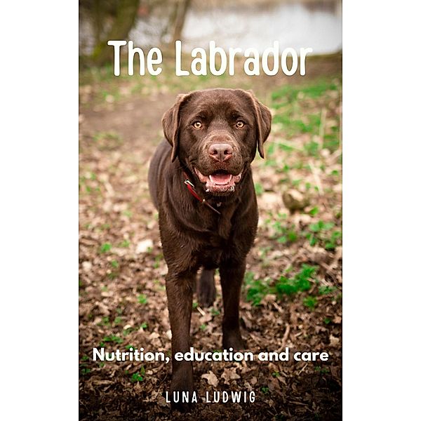 The Labrador nutrition, education and care, Rene Schilling