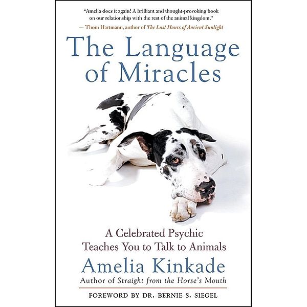 The Language of Miracles, Amelia Kinkade