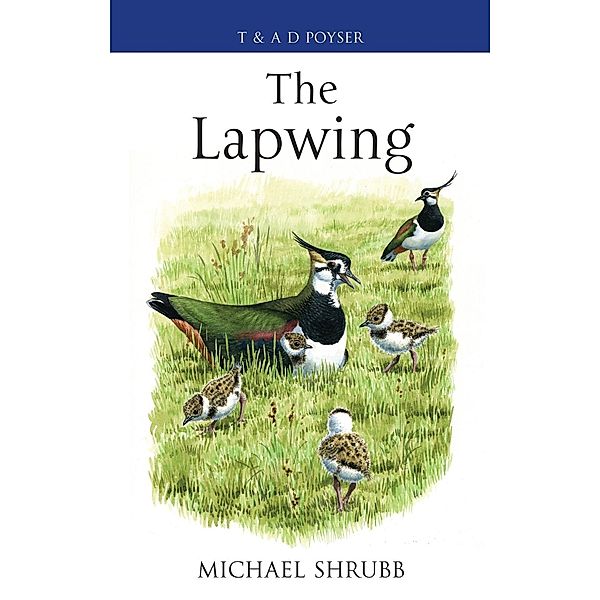 The Lapwing, Michael Shrubb