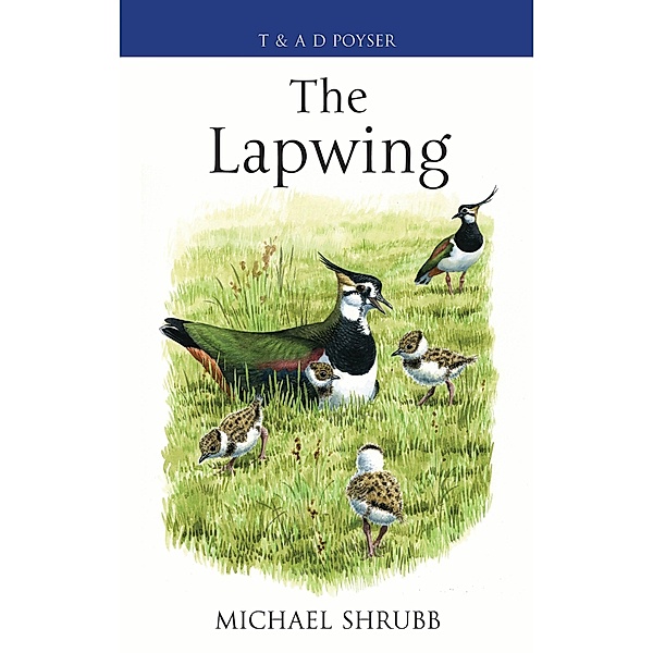 The Lapwing, Michael Shrubb
