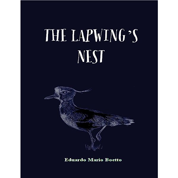 The Lapwing's Nest, Eduardo Mario Boetto