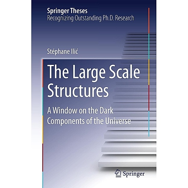 The Large Scale Structures / Springer Theses, Stéphane Ilic