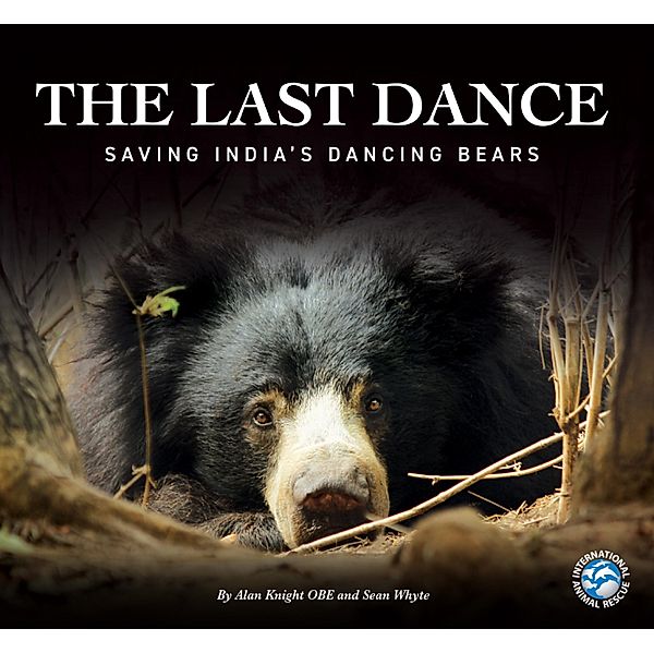 The Last Dance, Alan Knight, Sean Whyte