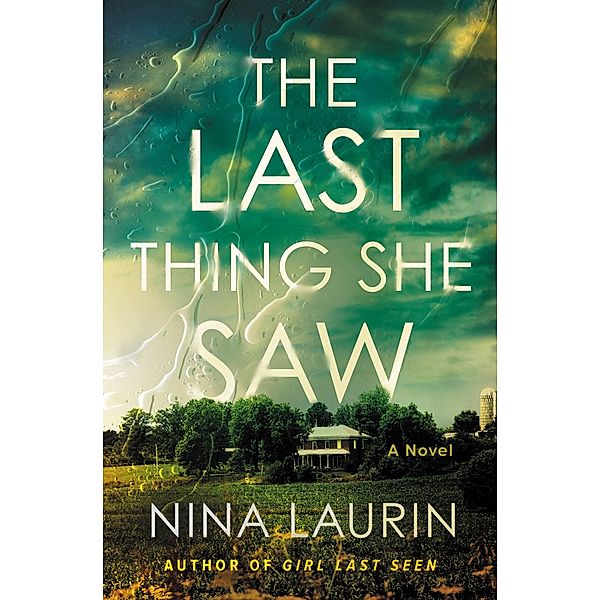 The Last Thing She Saw, Nina Laurin