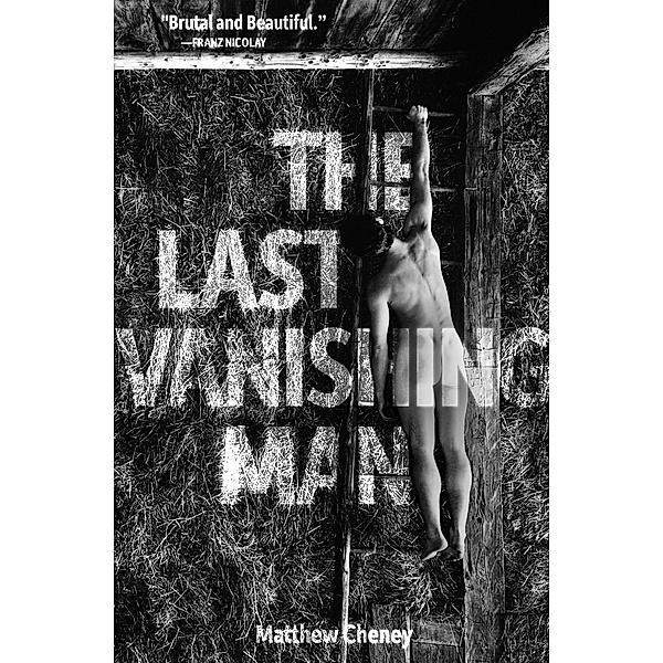 The Last Vanishing Man and Other Stories, Matthew Cheney