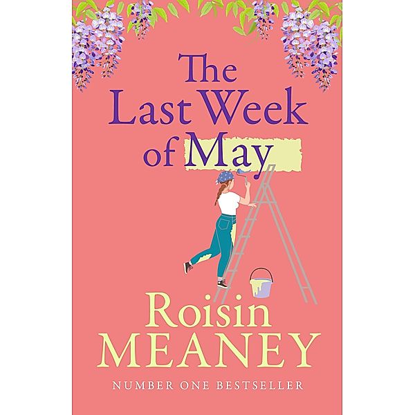 The Last Week of May, Roisin Meaney