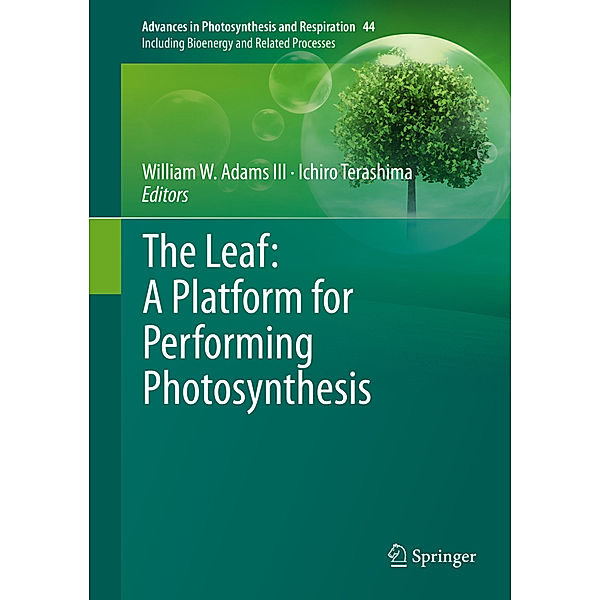 The Leaf: A Platform for Performing Photosynthesis