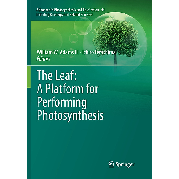 The Leaf: A Platform for Performing Photosynthesis