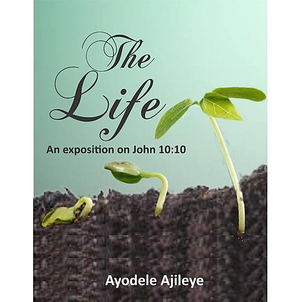 The Life, Ayodele Ajileye