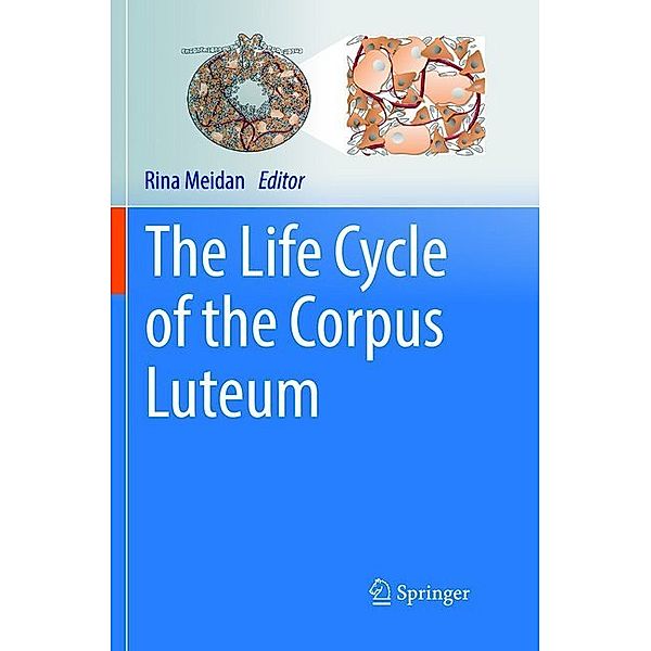 The Life Cycle of the Corpus Luteum