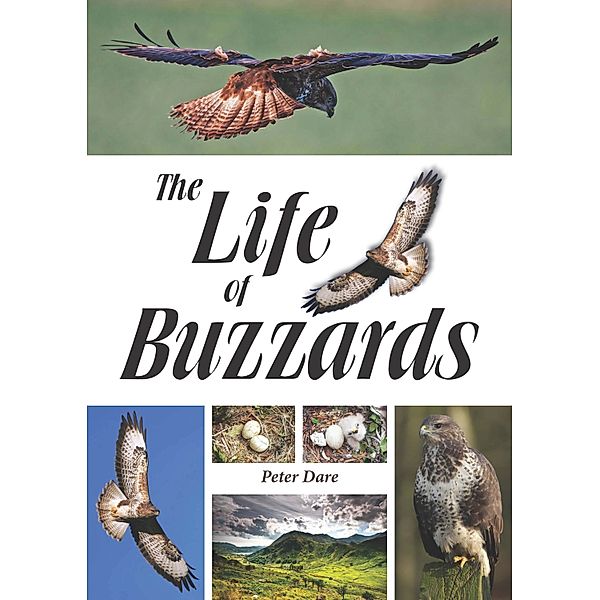 The Life of Buzzards, Peter Dare