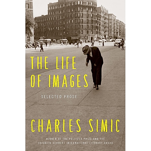 The Life of Images, Charles Simic