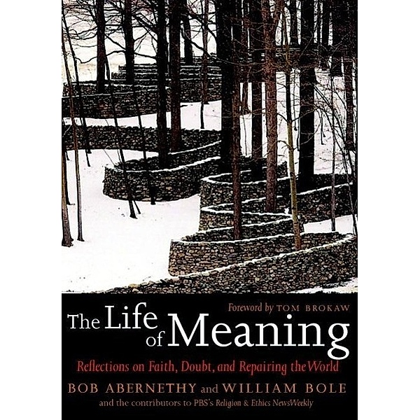 The Life of Meaning