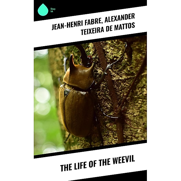 The Life of the Weevil, Jean-Henri Fabre, Alexander Teixeira de Mattos