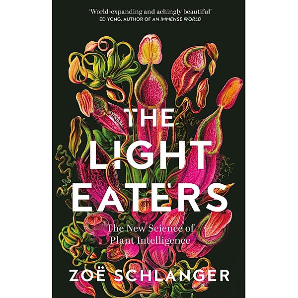 The Light Eaters, Zoë Schlanger