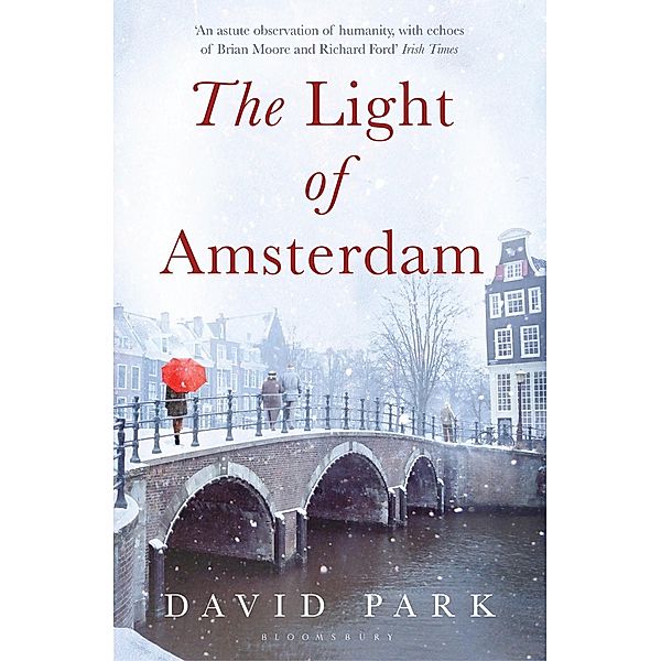 The Light of Amsterdam, David Park