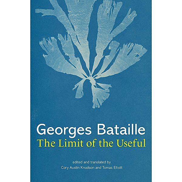 The Limit of the Useful, Georges Bataille