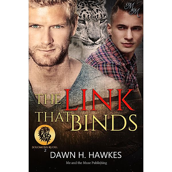 The Link That Binds: Die Verbindung / Solomons Rudel Bd.2, Dawn H. Hawkes