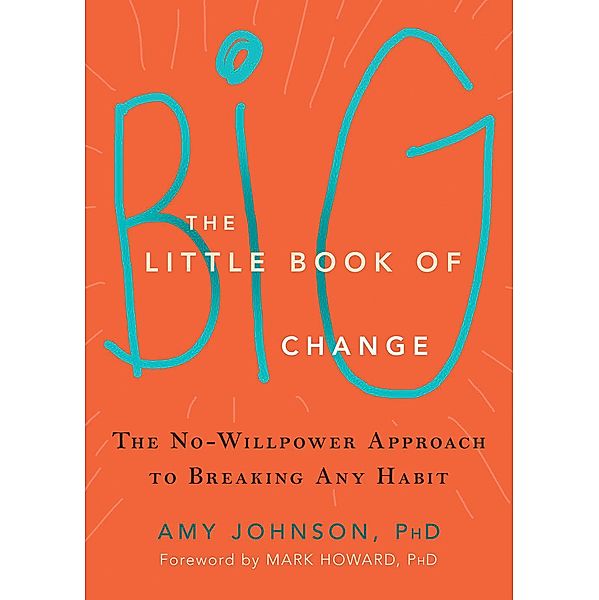 The Little Book of Big Change, Amy Johnson