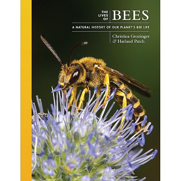 The Lives of Bees / The Lives of the Natural World Bd.9, Christina Grozinger, Harland Patch