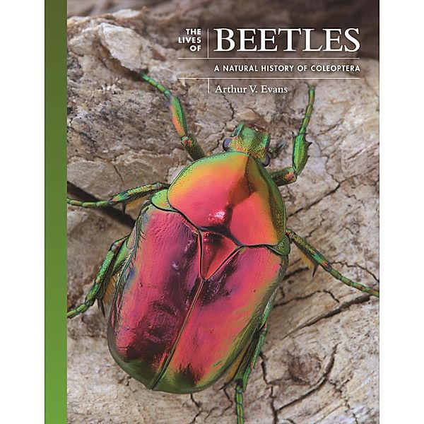 The Lives of Beetles / The Lives of the Natural World Bd.3, Arthur V. Evans