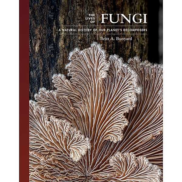 The Lives of Fungi / The Lives of the Natural World Bd.2, Britt A. Bunyard