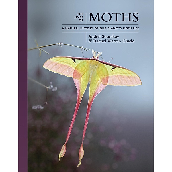 The Lives of Moths / The Lives of the Natural World Bd.1, Andrei Sourakov, Rachel Warren Chadd