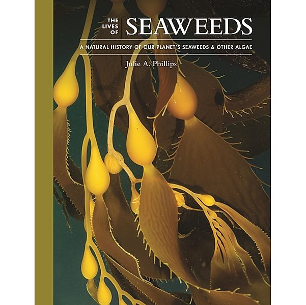 The Lives of Seaweeds / The Lives of the Natural World Bd.4, Julie A. Phillips