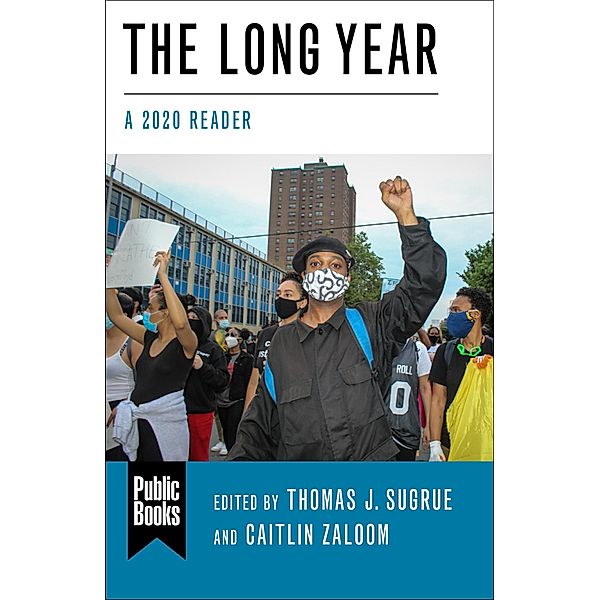 The Long Year / Public Books Series