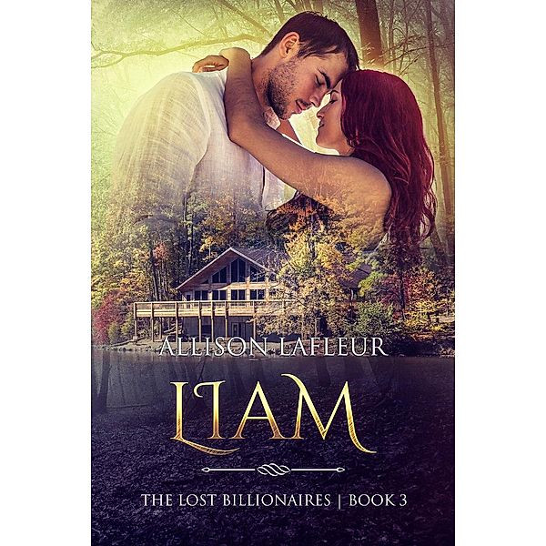 The Lost Billionaires: Liam (The Lost Billionaires, #3), Allison LaFleur