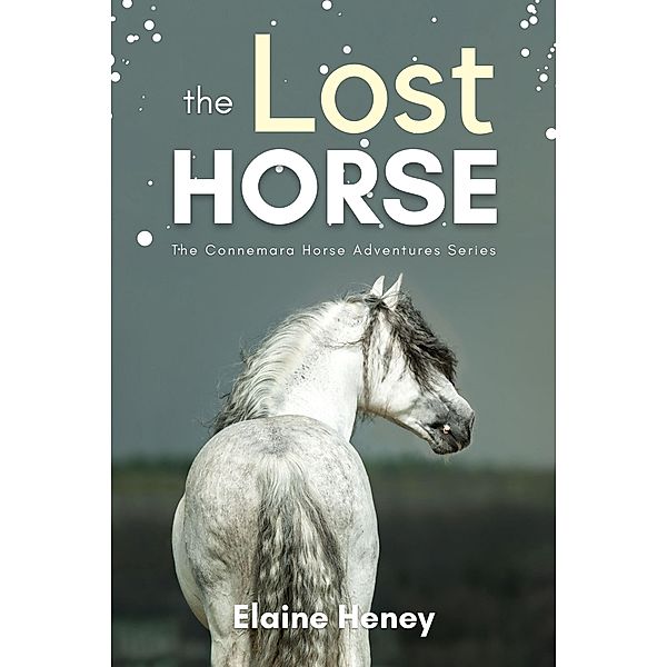 The Lost Horse - Book 6 in the Connemara Horse Adventure Series for Kids (Connemara Horse Adventures, #6) / Connemara Horse Adventures, Elaine Heney