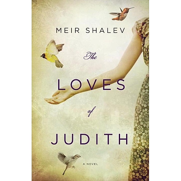 The Loves of Judith, Meir Shalev
