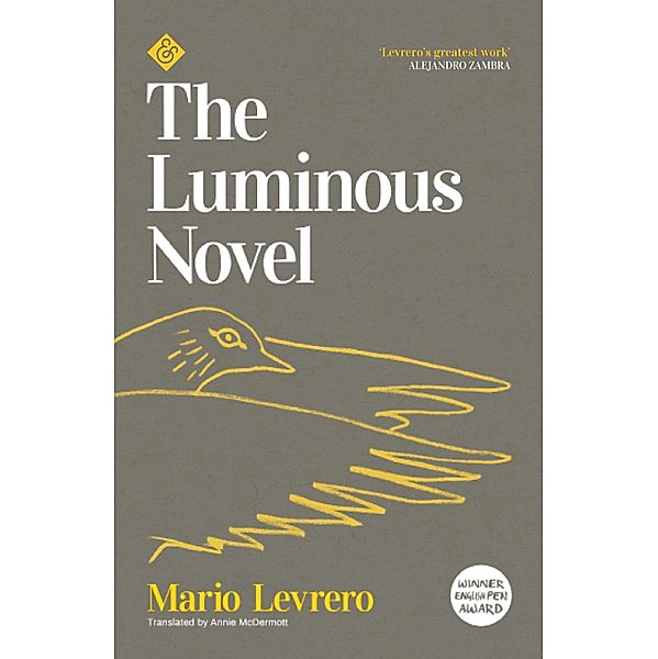 The Luminous Novel, Mario Levrero