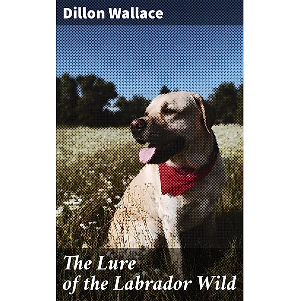 The Lure of the Labrador Wild, Dillon Wallace