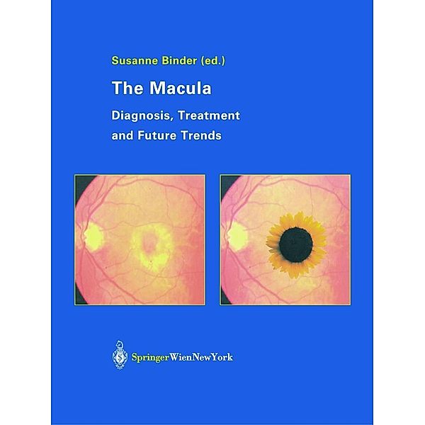 The Macula